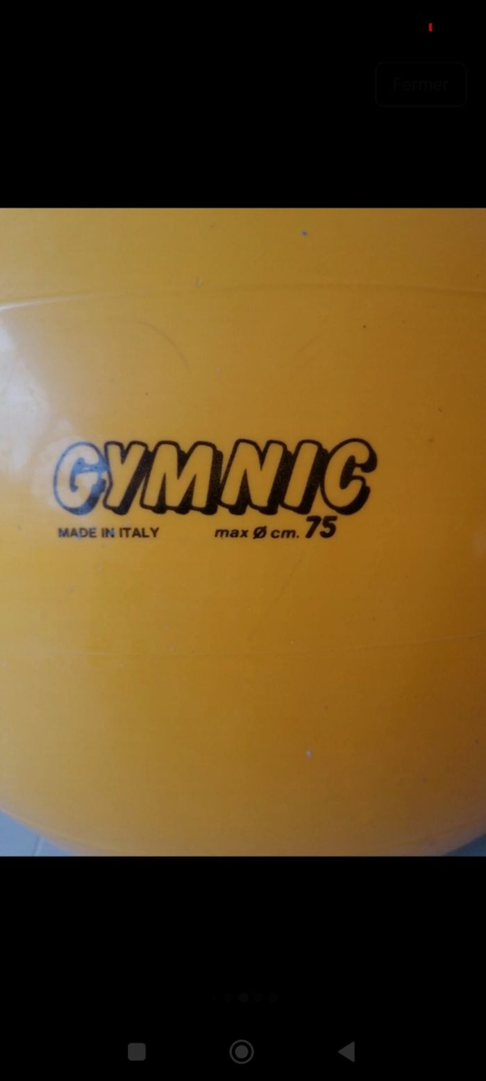 Ballon gymnic, gymnastique,grossesse - photo numéro 4