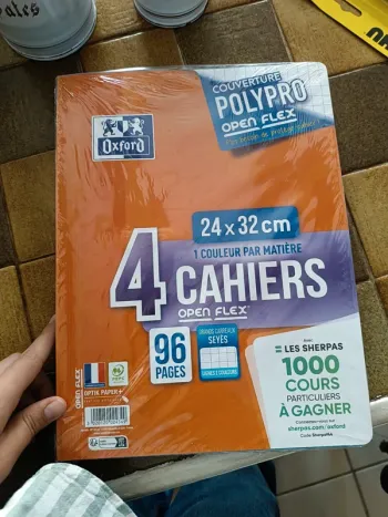 Lot de 4 cahiers Oxford polypro Open Flex 24 x 32 cm 96 pages grands carreaux neuf avec emballage
