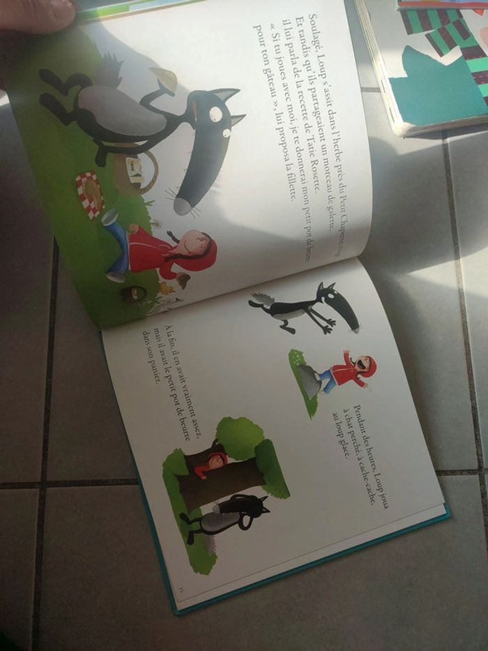 Livre le loup - photo numéro 3