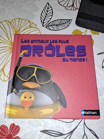 Les animaux les plus drôles au monde