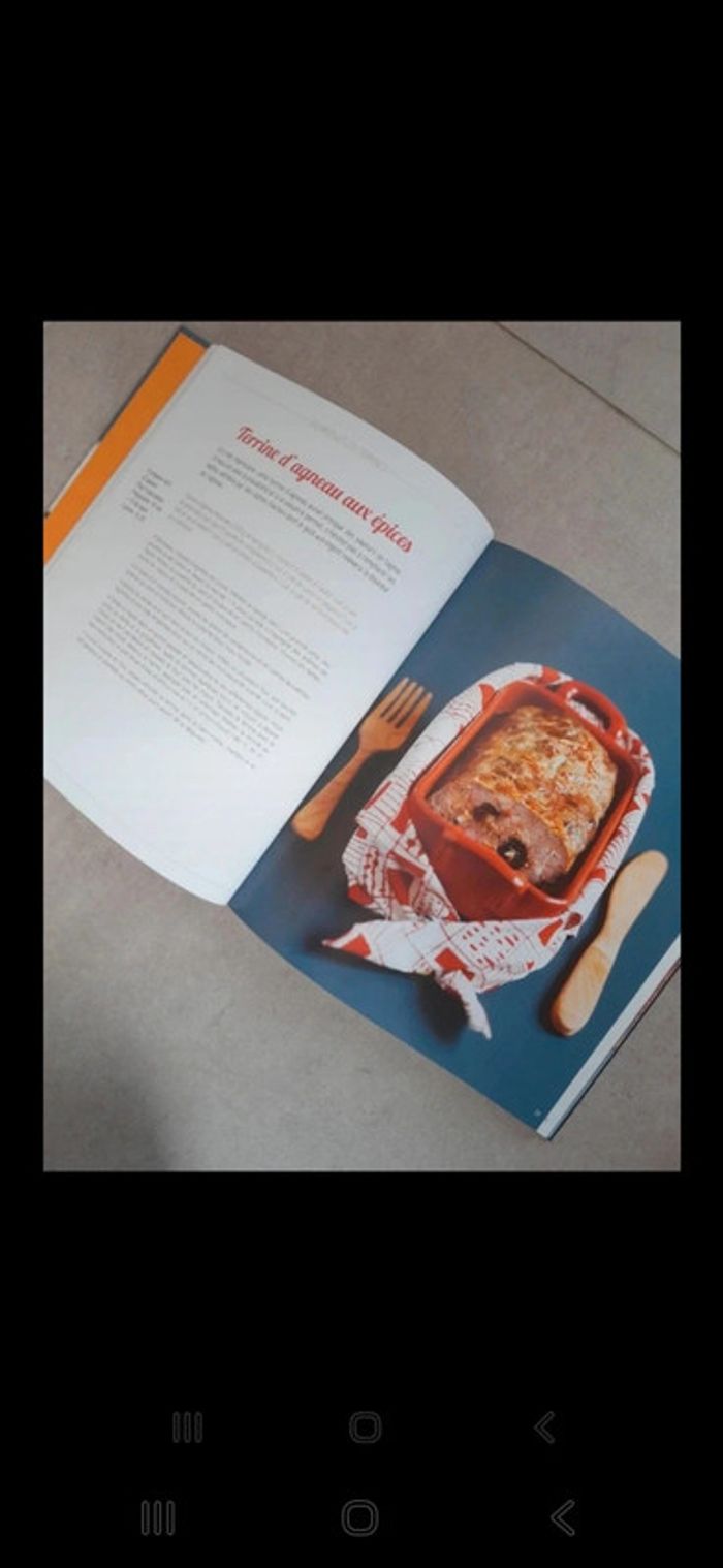 Livre de cuisine mijotée et conviviale - photo numéro 4