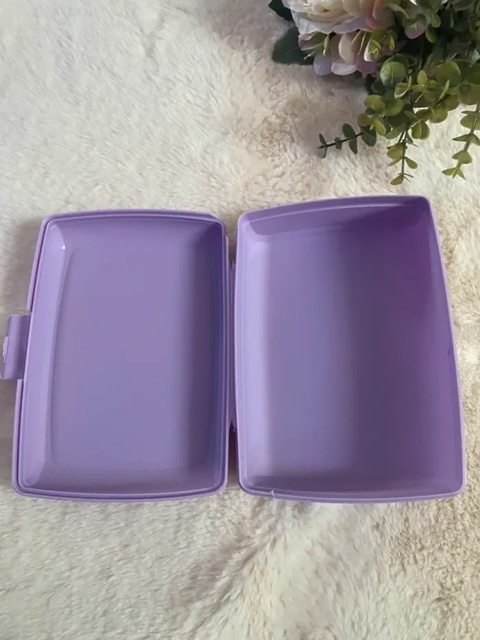 💜Set Lunch Box & Gourde Frozen II (Disney) TBE 💜 - photo numéro 5