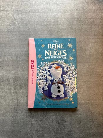 Livre la bibliothèque, Rose, la reine des neiges, une fête givrée