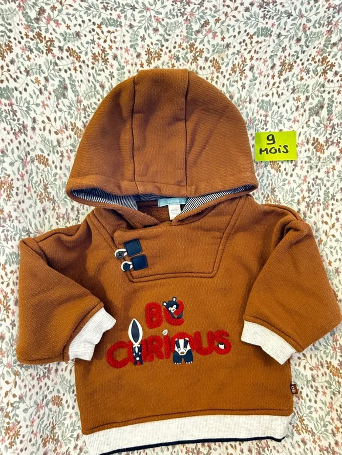 Sweat à capuche/ pull obaibi 9 mois