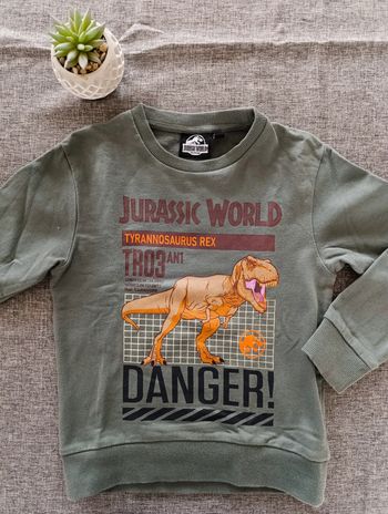 Pull Jurassic world dinosaure 🦖 5 ans