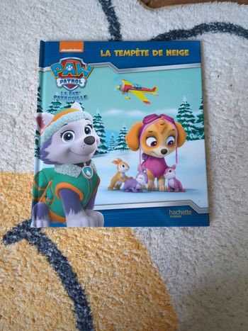 Livre pat patrouille la tempête de neige