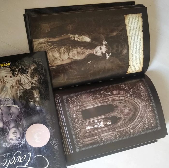 3 livres artbooks Victoria Frances Favole - photo numéro 3