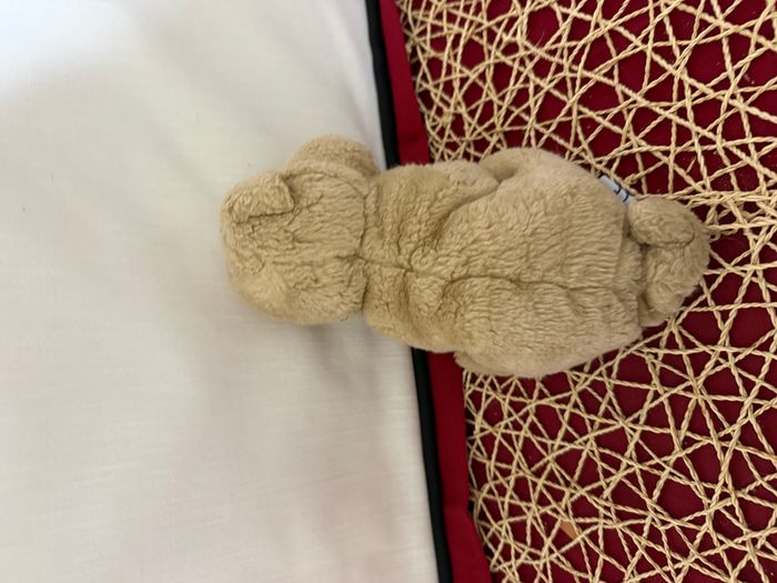 doudou chien - photo numéro 3