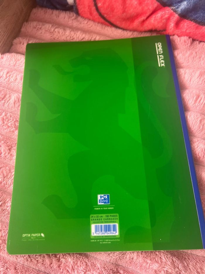 Cahier grand carreaux - photo numéro 4