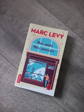 Roman Marc Lévy "mes amis mes amours"