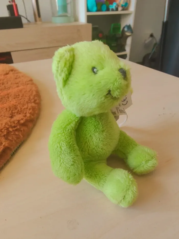 Petit ours vert - photo numéro 2