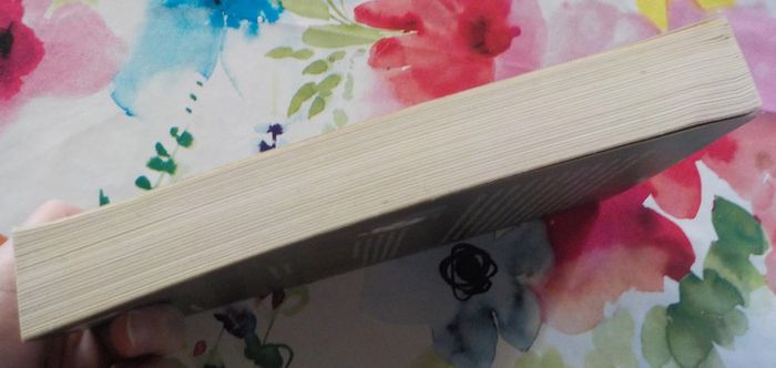 Ténébreuses de Karin Alvtegen Ed. Plon - photo numéro 4