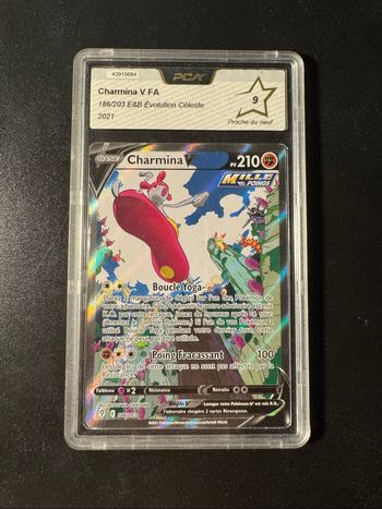 Lot cartes Pokémon