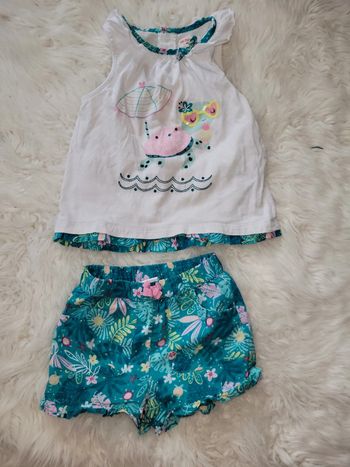 Ensemble tortue dpam 24m