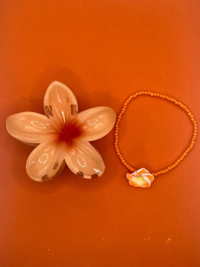 Lots pince et bracelet de cheville 🌸 - photo numéro 4