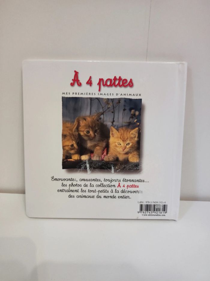Livre Le chaton - photo numéro 2