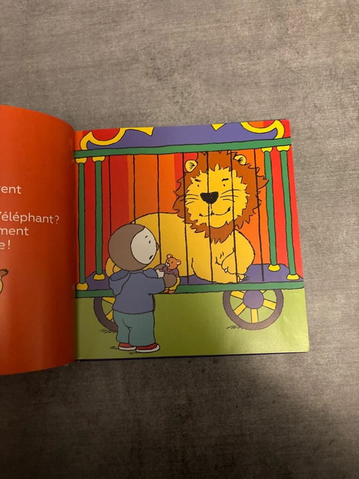 Livre les cinq histoires de T’choupi - photo numéro 7