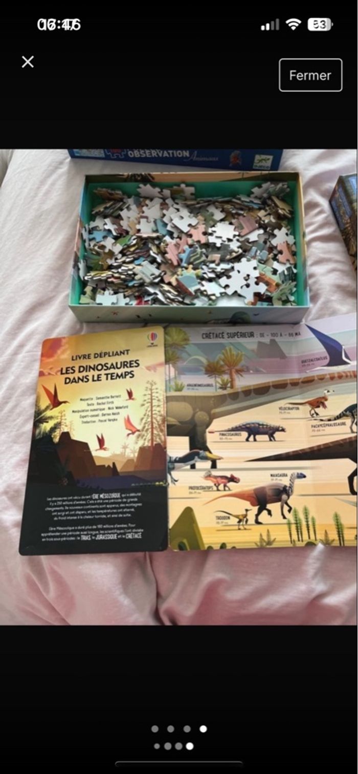 Puzzle 300 pièces dinosaures - photo numéro 3