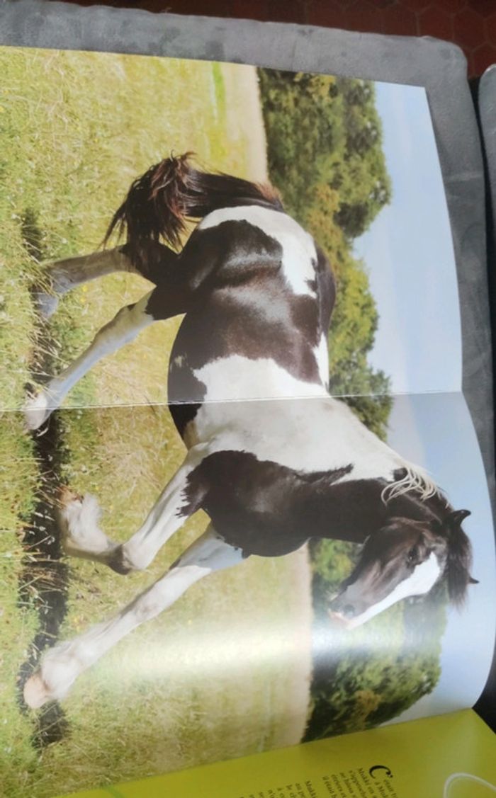 Livre posters mes plus belles histoires de chevaux - photo numéro 9