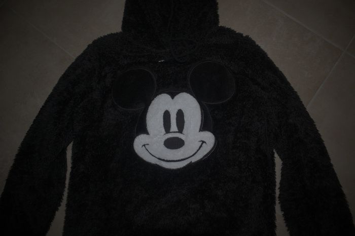 Pull mickey - photo numéro 6