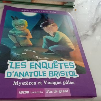 Livre les enquêtes d'Anatole bristol