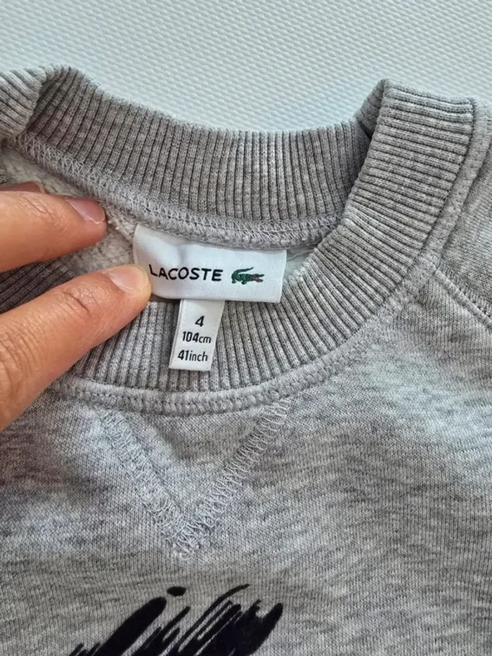 Sweat lacoste gris - photo numéro 3