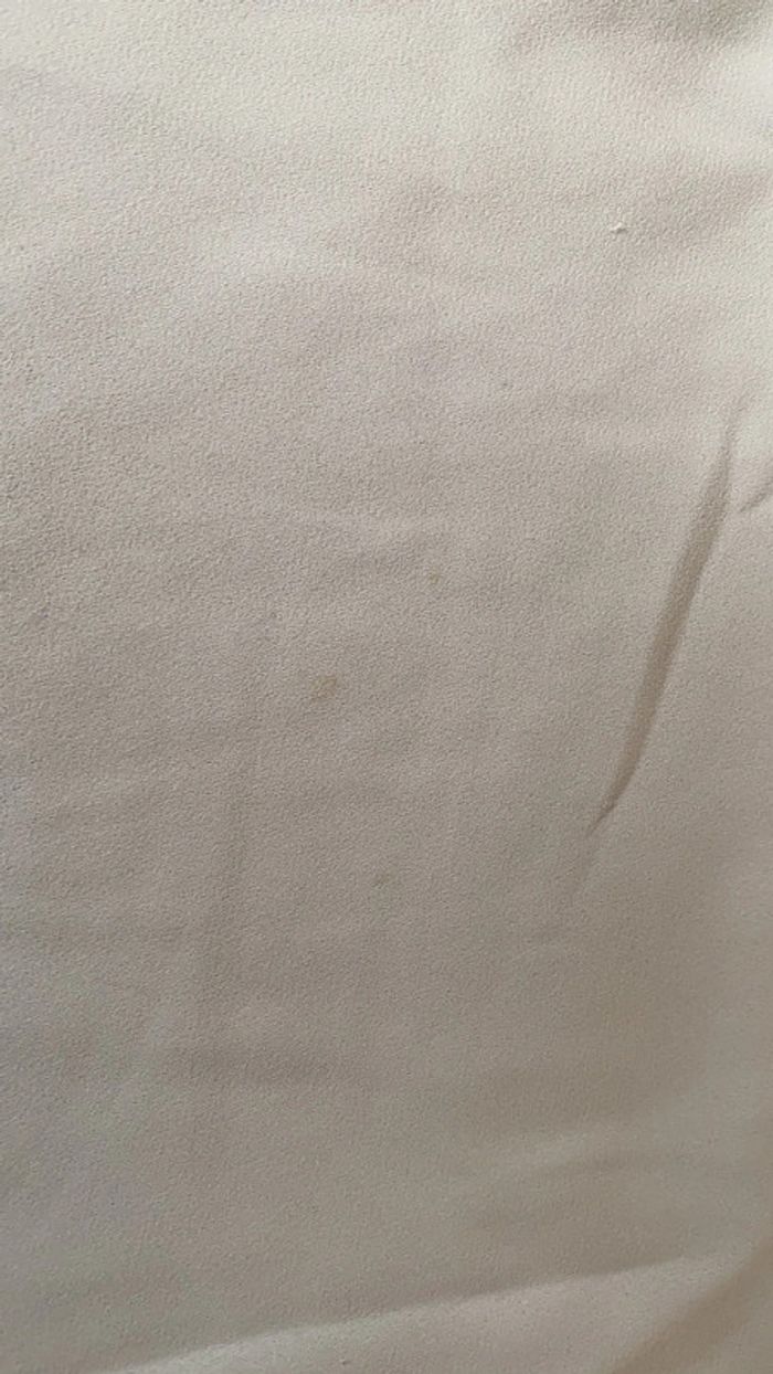 Haut blanc - photo numéro 2
