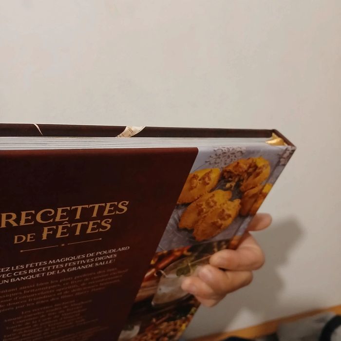 Livre de recette Harry Potter - photo numéro 6