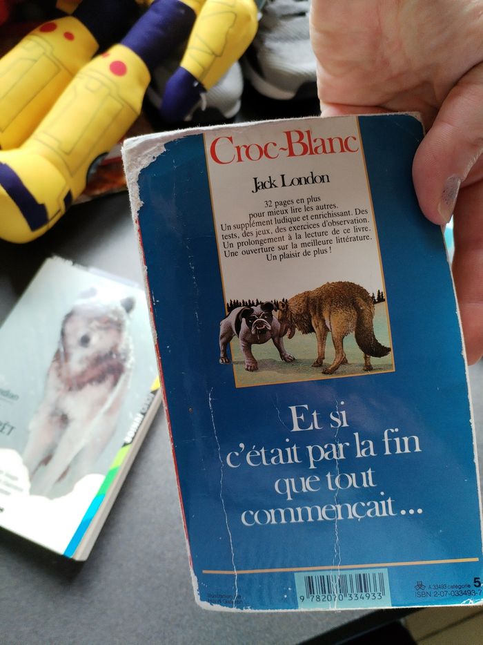 Lot livres ado collège - photo numéro 8