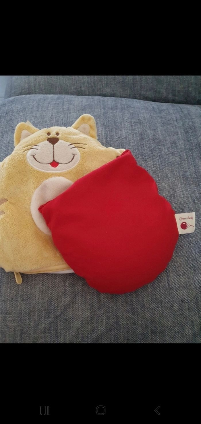 Bouillotte chat