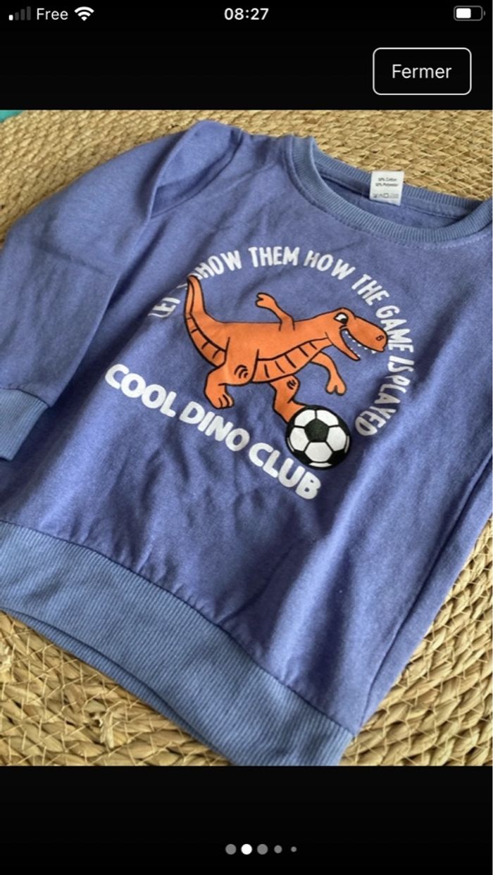 Pull dinosaures - photo numéro 2