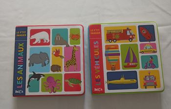 Lot de 2 petits imagiers