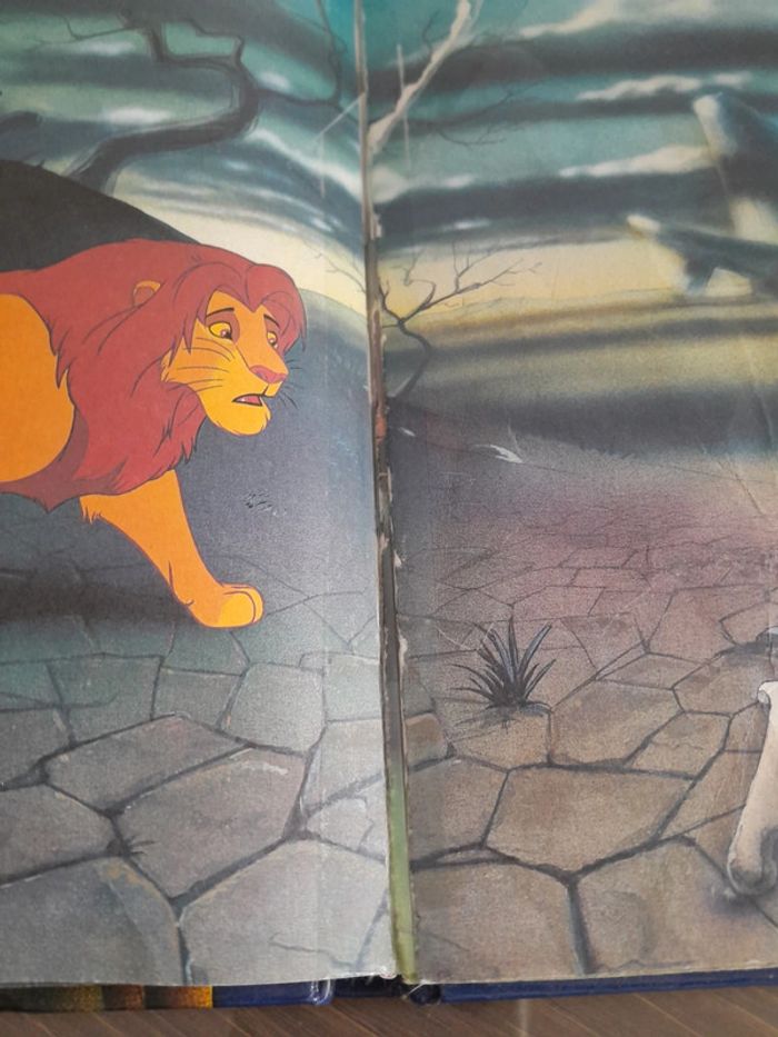 Livre le roi lion - photo numéro 3