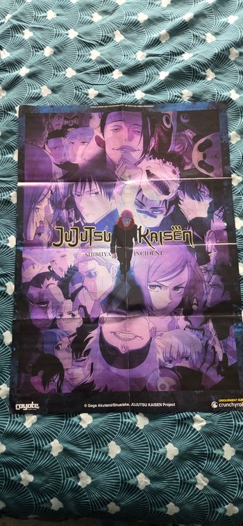 Poster 2 faces Jujutsu Kaisen et "le garçon et le héron"