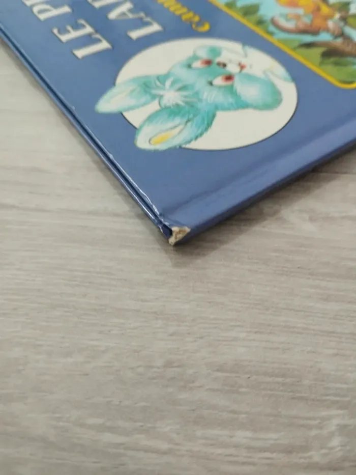 Le petit lapin bleu campe en montagne - photo numéro 5