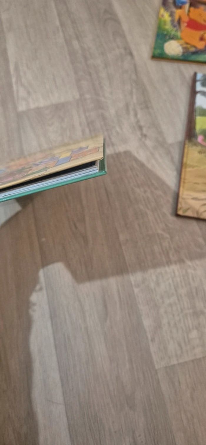 Lot de 3 livres - Winnie l'ourson - photo numéro 5