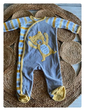 Petit tigre 🐯 6 mois - Gémo