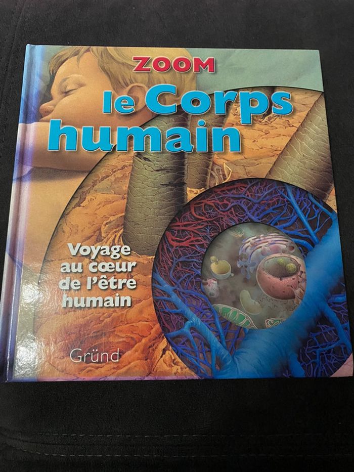 Zoom 🌸 le corps humain