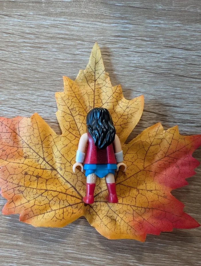 Playmobil Wonder Woman - photo numéro 3