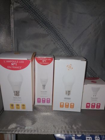 Ampoule Thomas watt neuve B22 E27 GU10 E14