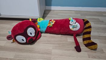 George grand lémur d'activité Lilliputiens