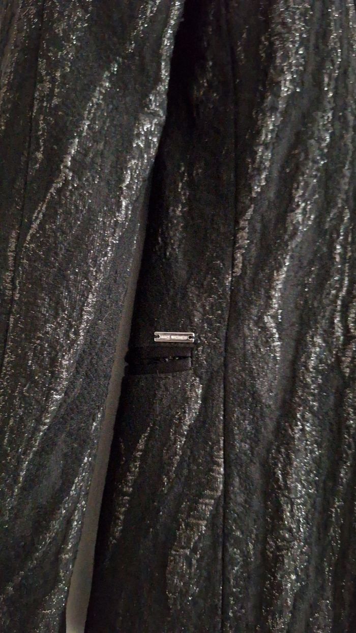 Blazer de fêtes à zébrures brillantes - photo numéro 5