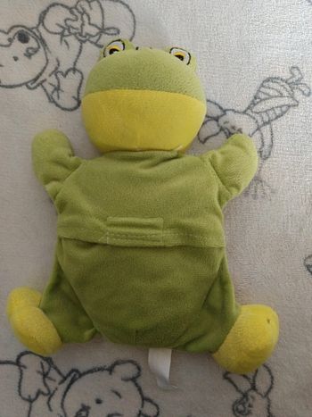 Bouillotte grenouille