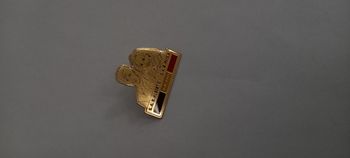 Pin's  roi albert et paola