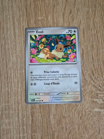 Évoli Fable Nébuleuse 