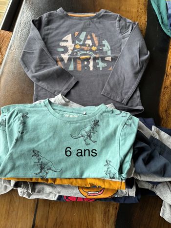 Lot tshirts manches longues