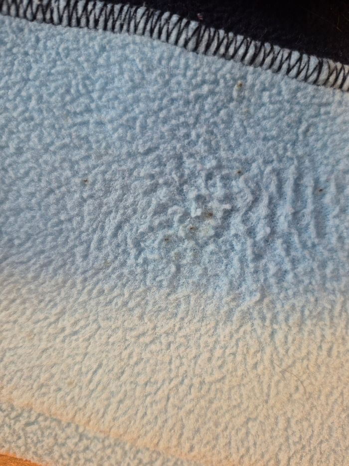 Bonnet + tour de cou pat patrouille et bonnet diego - photo numéro 6