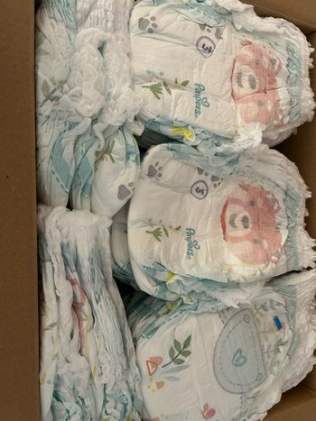 Pampers baby dry pants taille 3