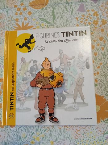 Livre tintin 