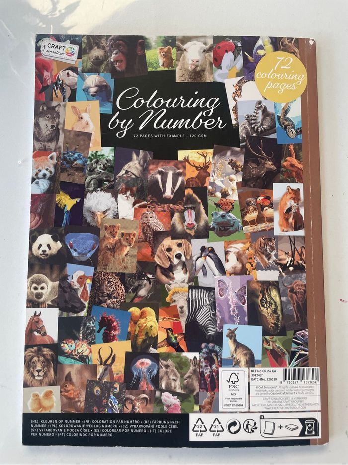 Coloriages mystères animaux - photo numéro 2